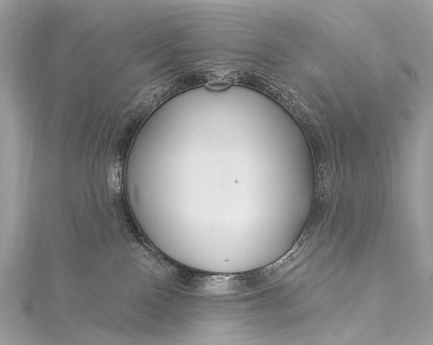 X0000115530090200911201728