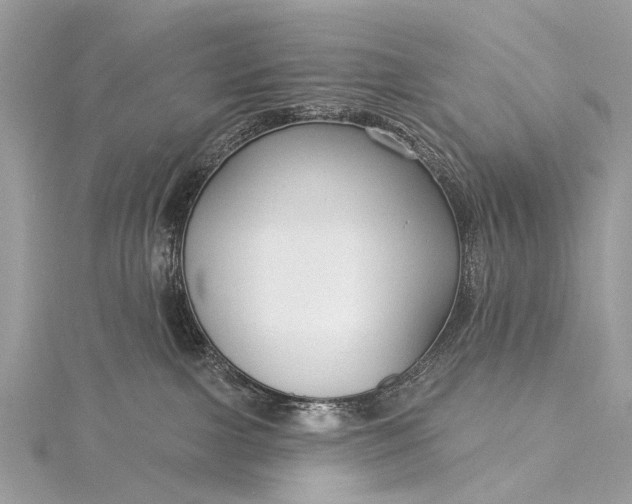 X0000115530091200911201728