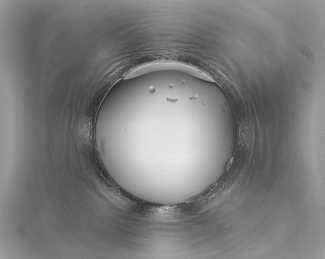 X0000115530092200911201728