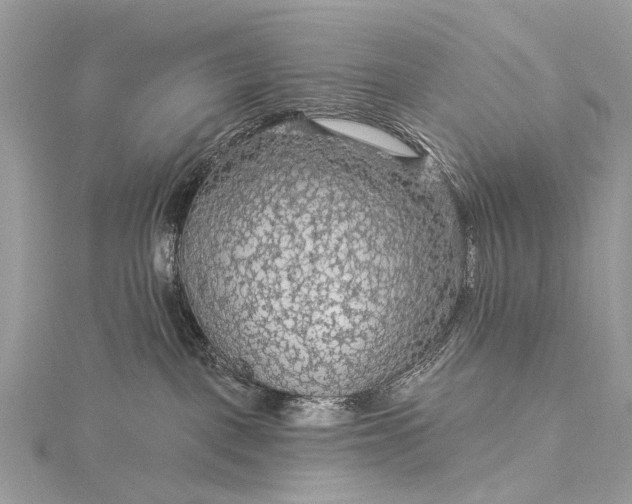 X0000115530093200911201728