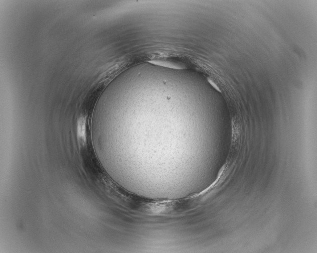 X0000115530094200911201728