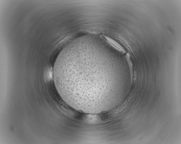 X0000115530095200911201728