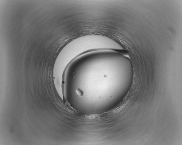 X0000115530096200911201728