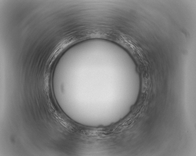 X0000115530098200911201727