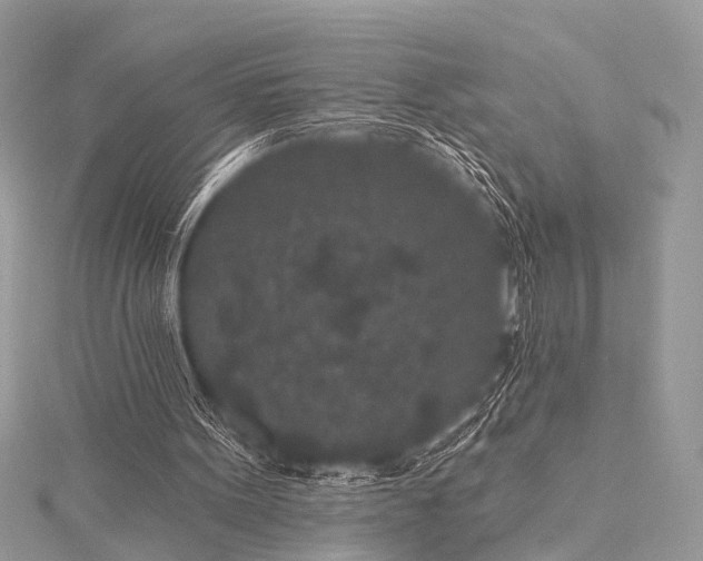 X0000115530099200911201727