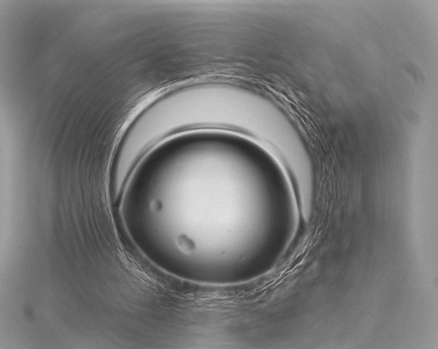 X0000115530100200911201727