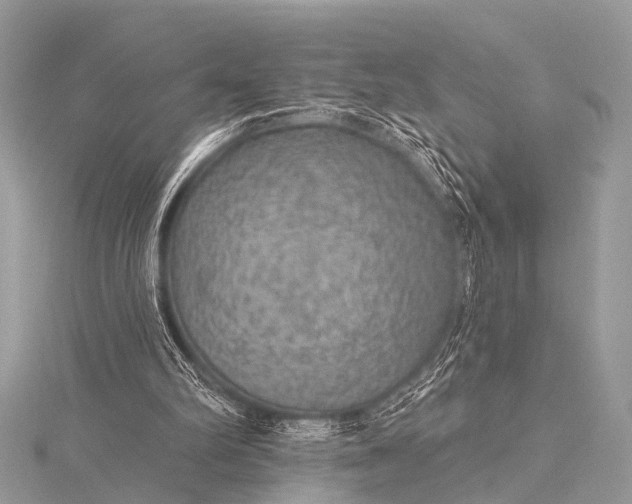 X0000115530102200911201727