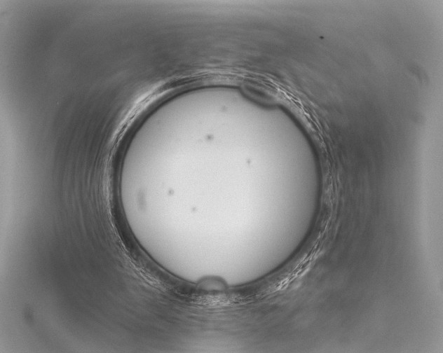 X0000115530103200911201727