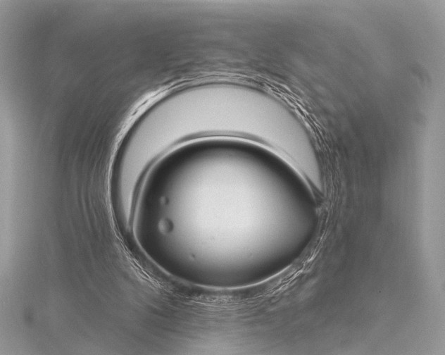 X0000115530104200911201727