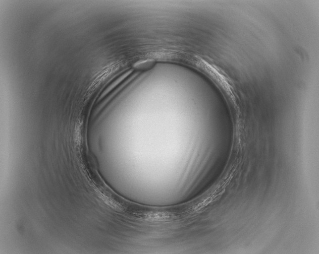 X0000115530105200911201727