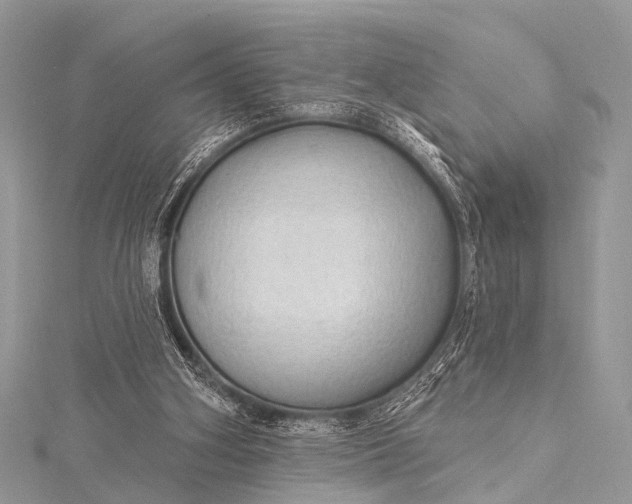 X0000115530106200911201727