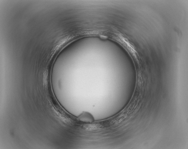 X0000115530107200911201727