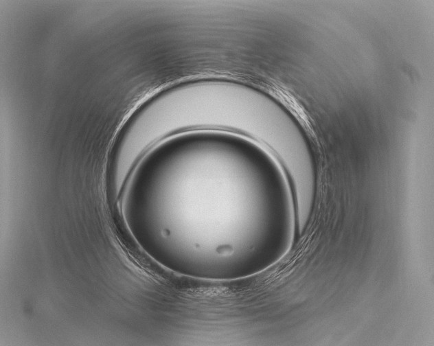 X0000115530108200911201727