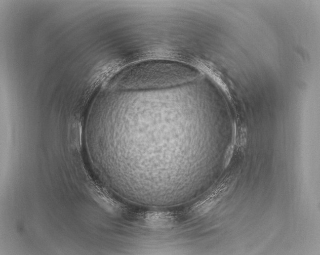 X0000115530109200911201727