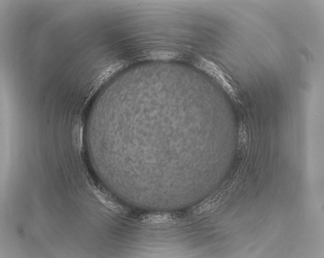 X0000115530110200911201727