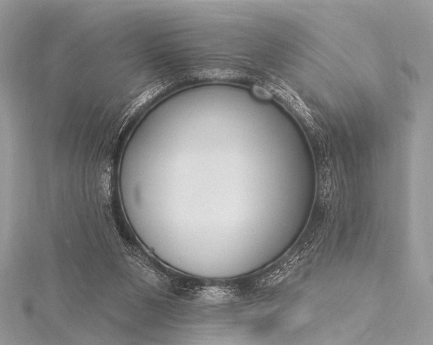 X0000115530111200911201727