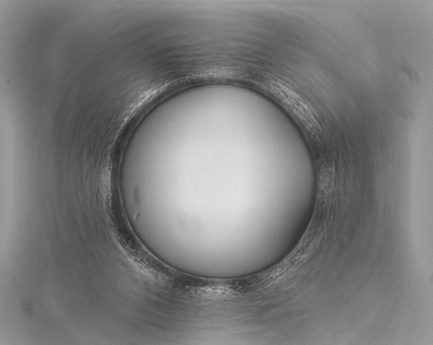 X0000115530112200911201727