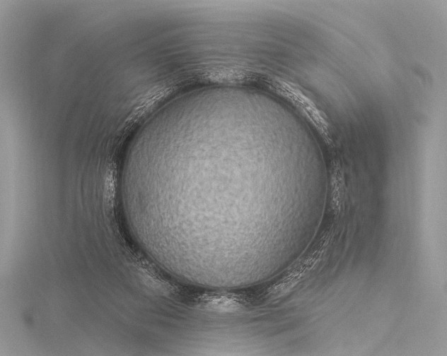 X0000115530113200911201727