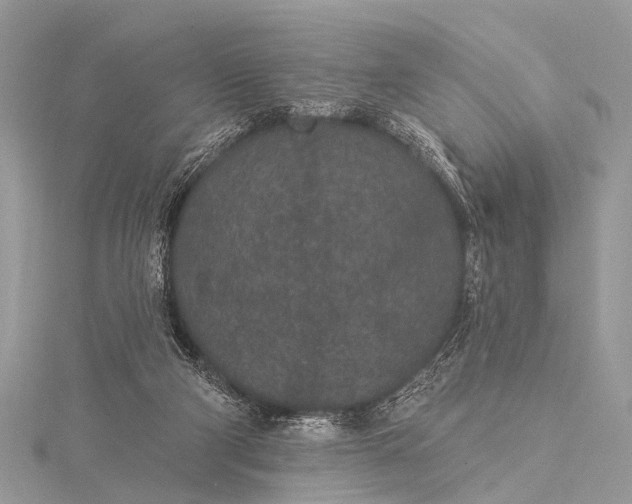 X0000115530114200911201727