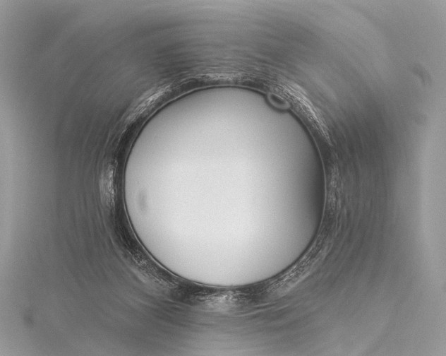 X0000115530116200911201727