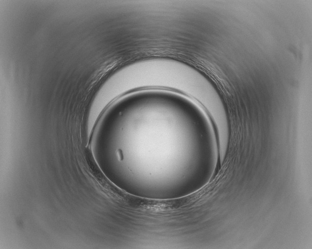 X0000115530120200911201727