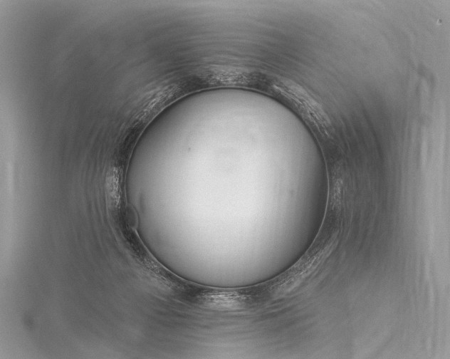 X0000115530121200911201727