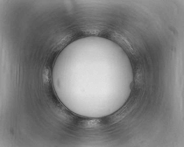 X0000115530122200911201727