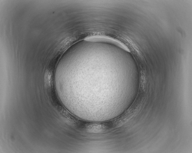 X0000115530123200911201727