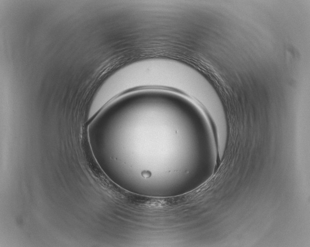 X0000115530124200911201727