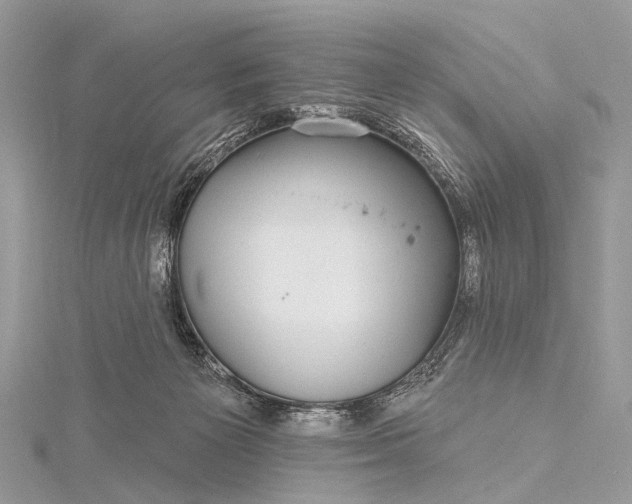 X0000115530125200911201727