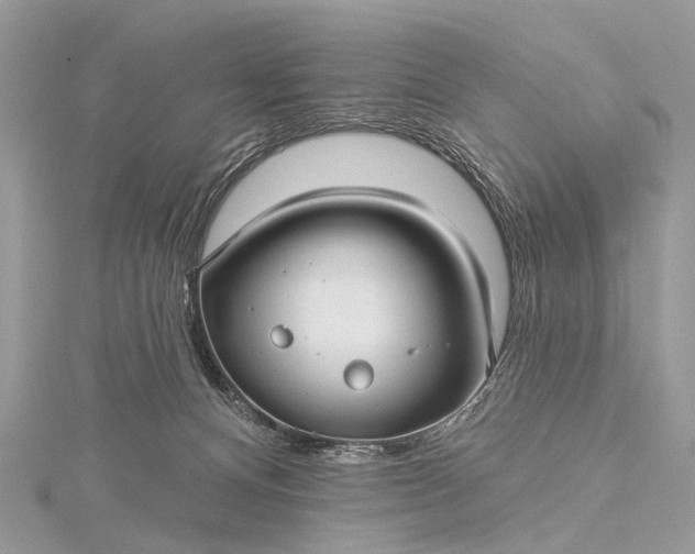 X0000115530128200911201727