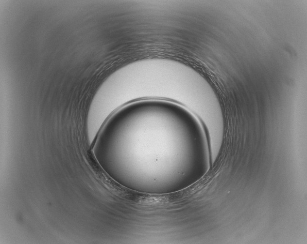 X0000115530129200911201727