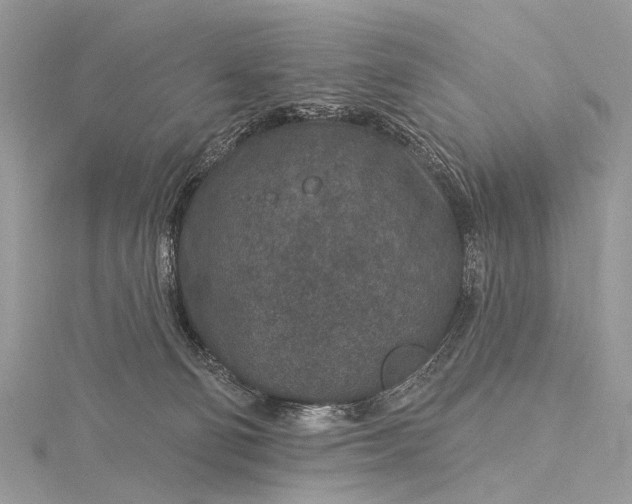 X0000115530130200911201727