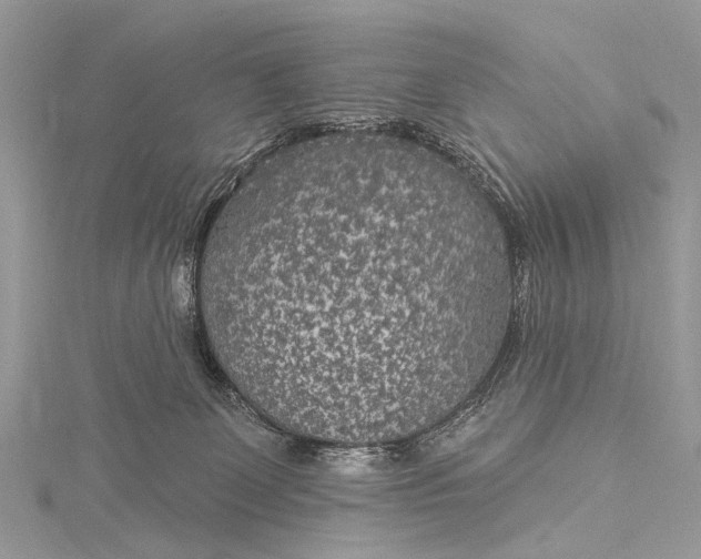 X0000115530131200911201727