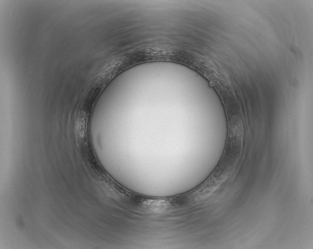 X0000115530133200911201727