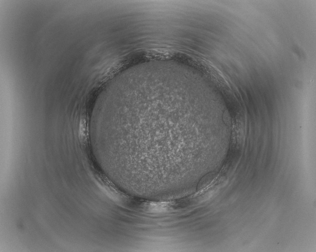 X0000115530134200911201727