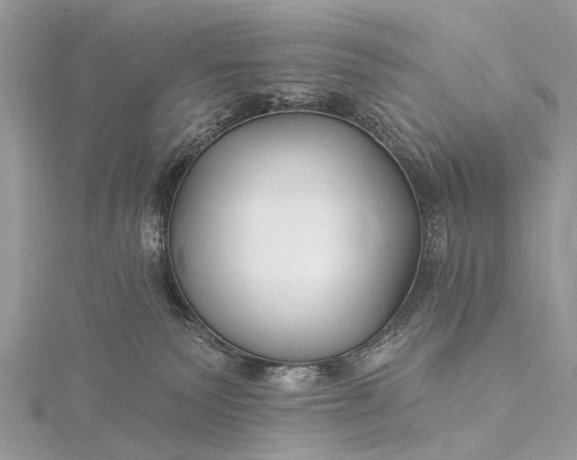 X0000115530135200911201727