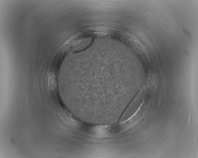 X0000115530136200911201727