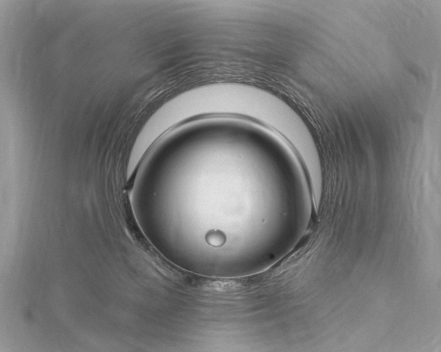 X0000115530137200911201727