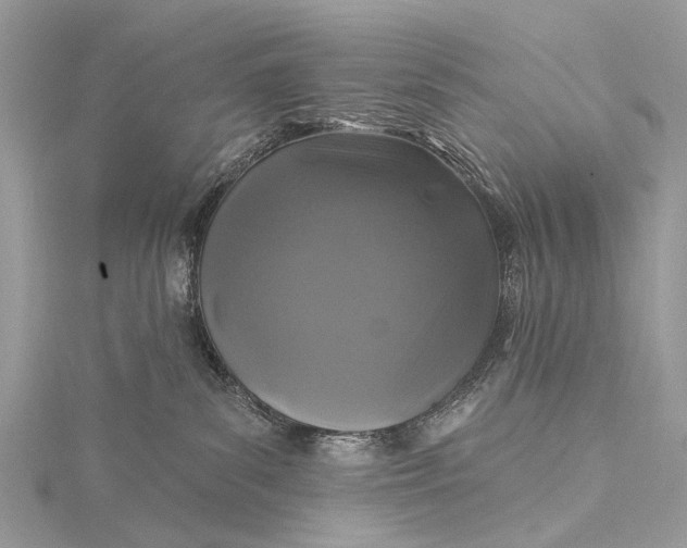 X0000115530139200911201727