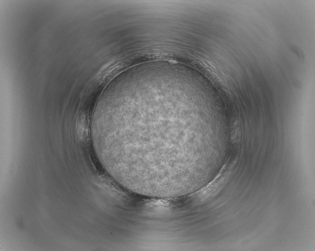 X0000115530140200911201727