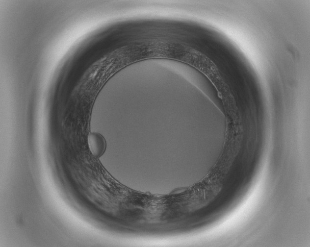 X0000115530143200911201727