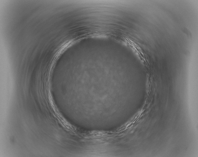 X0000115530145200911201726