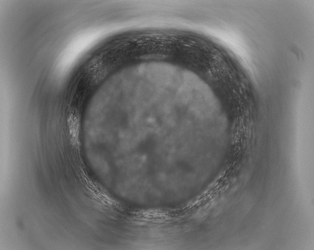 X0000115530146200911201726