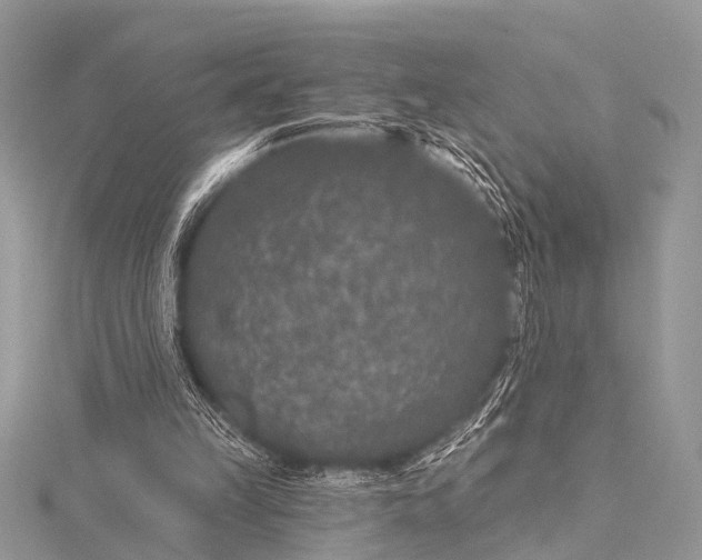 X0000115530149200911201726