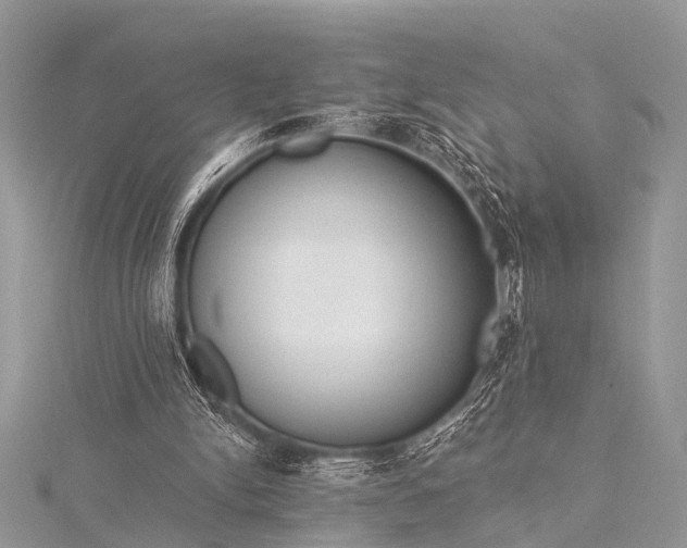 X0000115530150200911201726