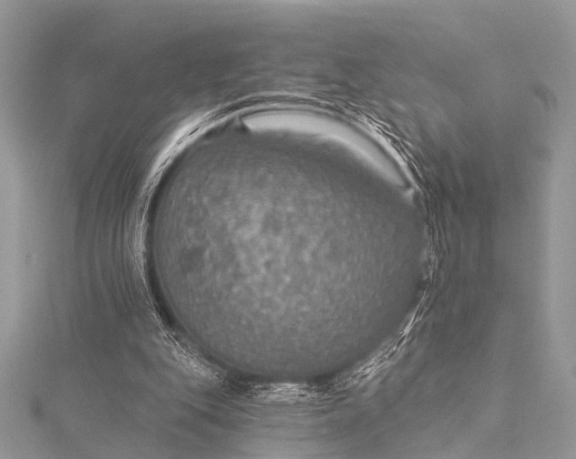 X0000115530151200911201726