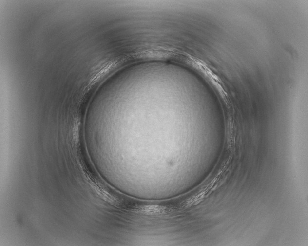 X0000115530153200911201726