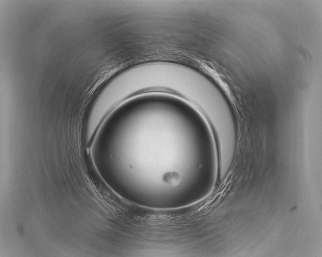 X0000115530154200911201726