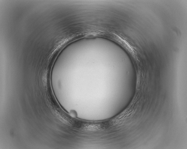 X0000115530155200911201726